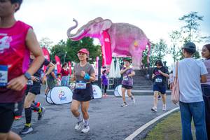 BIB: 
                            <button type="button" onclick="openModal(26551663)" class="btn btn-primary btn-sm float-right btn-popup" data-toggle="modal" data-target=".modal-high-quality">
                        <i class="fas fa-shopping-cart"></i> Add to Cart
                    </button>
                                            <button type="button" onclick="isThisMe(26551663, true)" class="btn btn-success btn-sm float-right btn-popup btn-isme hidden" data-toggle="tooltip" data-placement="bottom" title="นี่คือรูปของคุณใช่ไหม คลิกที่นี่เพื่อเอาเข้าอัลบั้ม">
                        <i class="fas fa-plus"></i> Add to album
                    </button>
                    <button type="button" onclick="isThisMe(26551663, false)" class="btn btn-warning btn-sm float-right btn-popup btn-isnotme hidden">
                        <i class="fas fa-ban"></i> Remove from album
                    </button>